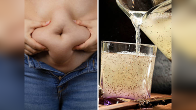 Weight Loss Drink : बेली फॅट  एका झटक्यात कमी करेल हे पेय, नारळ पाण्यासोबत या बिया वितळवून टाकतील चरबी