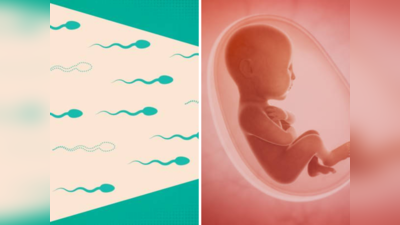पुरुषांचे Sperms बाळामधील अनुवांशिक दोषास कारणीभूत? तज्ज्ञांचे मत