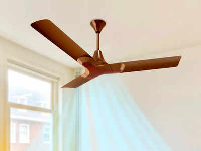 Best Ceiling Fans Under 4000: बेडरूम और लिविंग रूम के लिए भी सूटेबल हैं ये सीलिंग फैन, मिनटों में पाएं गर्मी से राहत