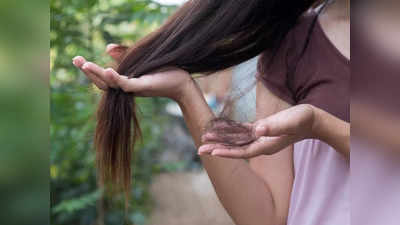 Remedies to control hair fall: ఈ 5 చిట్కాలు ఫాలో అయితే.. జుట్టు రాలడం తగ్గి, ఒత్తుగా పెరుగుతుంది..!