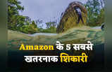 नन्ही चींटी से लेकर ग्रीन एनाकोंडा तक... Amazon जंगल के इन 5 नरभक्षी जानवरों से मिलिए