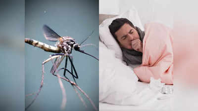 World Malaria Day: ಮಲೇರಿಯಾ ಹೇಗೆ ಬರುತ್ತೆ, ಅದನ್ನು ತಡೆಯುವುದು ಹೇಗೆ?
