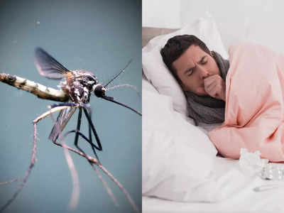 World Malaria Day: ಮಲೇರಿಯಾ ಹೇಗೆ ಬರುತ್ತೆ, ಅದನ್ನು ತಡೆಯುವುದು ಹೇಗೆ?