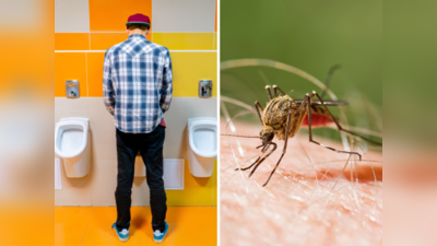 मलेरिया में बुखार के साथ दिखे ये लक्षण तो समझ जाएं बिगड़ गई बात, ऐसा होता है इसे फैलाने वाला मच्छर