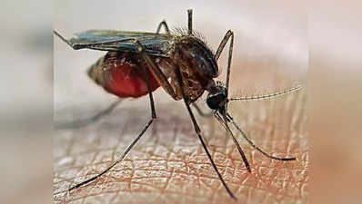 World Malaria Day 2023 : மலேரியாவால இவ்வளவு ஆபத்து வருமா? அதன் அறிகுறிகள் என்னென்ன...