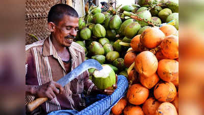 Tender Coconut Price High : ಅರ್ಧ ಶತಕ ಬಾರಿಸಿದ ಎಳನೀರು ದರ;  ಬಿಸಿಲ ಧಗೆ ಜತೆ ಜೇಬಿಗೂ ಬರೆ !