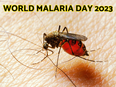 World Malaria Day 2023: மலேரியாவால் ஒரே நாட்டில் பலியான 6 லட்சம் மக்கள்! உலக மலேரியா தின வரலாறு, இலக்கு மற்றும் குறிக்கோள்..