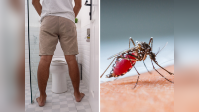 World Malaria Day: तापासोबत हे 1 भयंकर लक्षण दाखवते मलेरियाची लास्ट स्टेज, पूर्ण रक्त शोषण्याआधी करा हे 5 उपाय