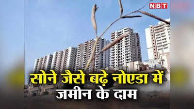 Noida Property Price Hike: सोने की तरह तेजी से बढ़े नोएडा में जमीन के रेट, जानिए कैसे तय होती है कीमत