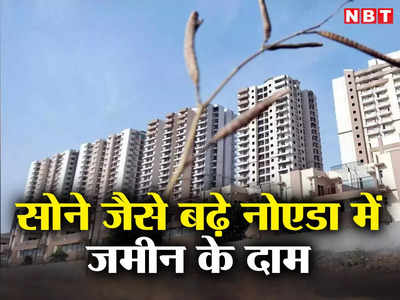Noida Property Price Hike: सोने की तरह तेजी से बढ़े नोएडा में जमीन के रेट, जानिए कैसे तय होती है कीमत