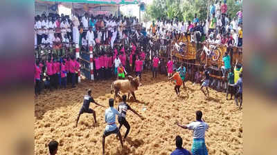 புதுக்கோட்டை அருகே நடந்த ஜல்லிக்கட்டு போட்டி: முன்னாள் அமைச்சர் தொடங்கி வைத்தார்