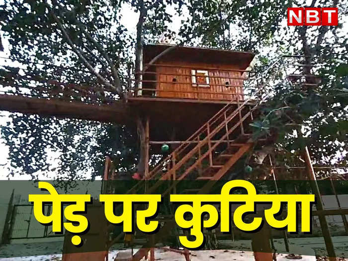 bhilwara kathiababa unique ideas of tree house in rajasthan