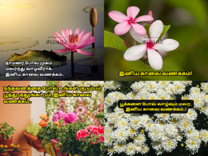 good morning wishes with flowers whatsapp status images and posters in tamil