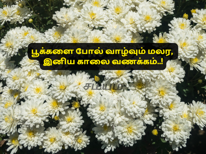 பூக்கள் நிறைந்த காலை வணக்கம்..