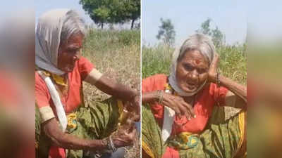 Viral Video: दादी ने खेत में गाया बहारों फूल बरसाओ गाना, अम्मा की आवाज ने लोगों के दिल को छू लिया