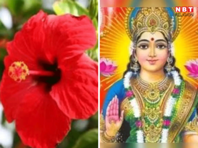 Gudhal Phool Ke Upay: गुड़हल फूल के चमत्कारी उपाय, धन दौलत से लेकर सुख समृद्धि के लिए देखें आजमाकर