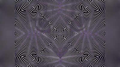 Optical Illusion: इस तस्वीर में छिपे हैं दो जानवर, स्मार्ट लोग 5 सेकंड में ही खोज लेंगे