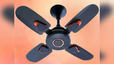Mini Ceiling Fan: छोटी सी पंखुड़ी पर मत जाइए, पर्दे उड़ा देने वाली हवा फेंकते हैं ये सीलिंग फैन