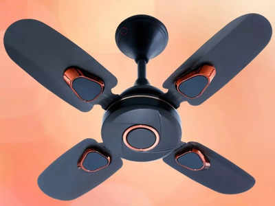 Mini Ceiling Fan: छोटी सी पंखुड़ी पर मत जाइए, पर्दे उड़ा देने वाली हवा फेंकते हैं ये सीलिंग फैन