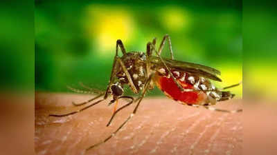 Malaria Kolkata : ওষুধ-প্রতিরোধী ম্যালেরিয়া জব্দে নতুন ওষুধের ট্রায়ালে কলকাতাও