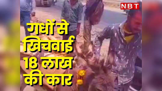 watch viral video udaipur man gets his hyundai creta car pulled by two donkeys after the dealers fail to fix problem