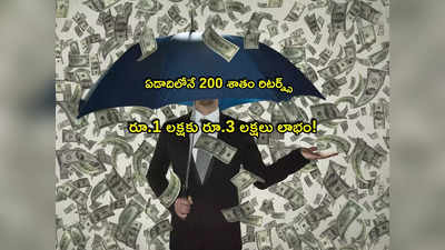 Multibagger: ఏడాదిలోనే దశ తిరిగింది.. లక్షకు రూ.3 లక్షలు.. ఈ షేర్లతో 200 శాతం రిటర్న్స్!