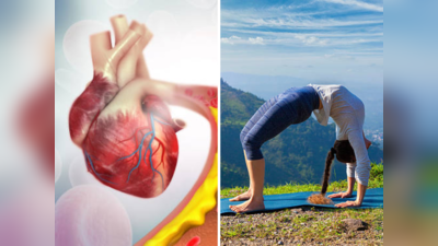 Chakrasana Yoga : हृदयाची एक-एक नस साफ करेल हे आसन, स्नायू बळकट होऊन Heart Attack चा धोका होईल कमी