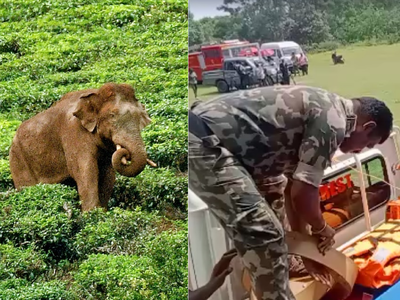 അരിക്കൊമ്പനെ എങ്ങോട്ട് മാറ്റും? സസ്പെൻസ് തുടരുന്നു, ദൗത്യം ആരംഭിച്ചു, സംഘത്തിൽ 150 പേർ