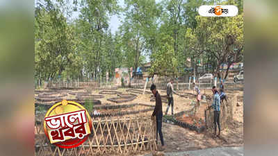 Durgapur News : পরিত্যক্ত জমির ভোল বদলে ভেষজ উদ্যান, দুর্গাপুরে পাখির কলতানে ভরা নয়া নগর বন