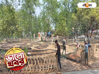 Durgapur News : পরিত্যক্ত জমির ভোল বদলে ভেষজ উদ্যান, দুর্গাপুরে পাখির কলতানে ভরা নয়া নগর বন