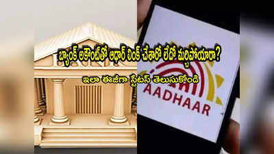 Aadhaar: ఆధార్‌తో బ్యాంక్ అకౌంట్ లింక్ చేశారా? స్టేటస్ చెక్ చేసుకోండిలా.. సింపుల్ ప్రాసెస్! 