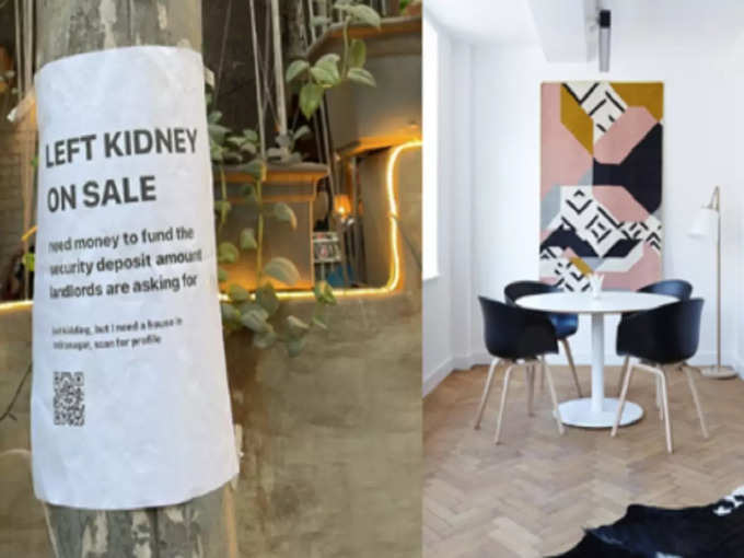 kidney for sale
