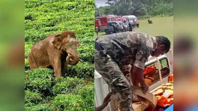 കാത്തിരുന്നത് അരിക്കൊമ്പനെ, എത്തിയത് ചക്കക്കൊമ്പനും സംഘവും; ഇന്നത്തെ ദൗത്യം അവസാനിപ്പിച്ചു