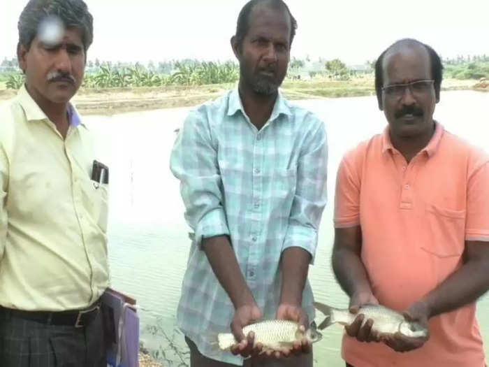 Thiruvannamalai youth fish farming