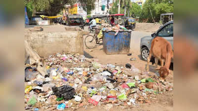 Mirzapur Ground Report: हर साल 5 करोड़ रुपये होते हैं खर्च, फिर भी सड़कों पर है कूड़ा, देखिए मिर्जापुर नगर पालिका का हाल