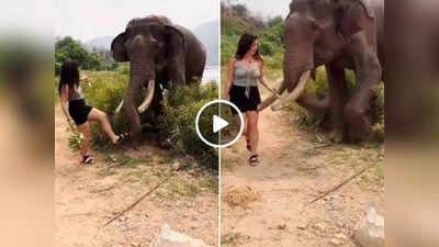 Hathi Ka Video: हाथी को केले खिलाने गई थी लड़की, गजराज ने मारी ऐसी टक्कर कि वीडियो वायरल हो गया