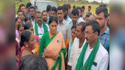 Ys Sharmila: ఎకరాకు రూ.30 వేల నష్ట పరిహారం ఇవ్వాలి: షర్మిల