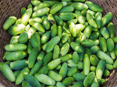 Ivy Gourd Health Benefits: దొండకాయ తింటే.. ఎన్ని ఆరోగ్య ప్రయోజనాలు తెలుసా..?