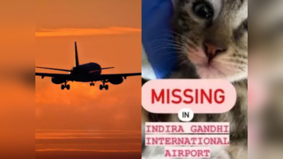 दिल्ली एयरपोर्ट पर यात्री की पालतू बिल्ली लापता, एयर इंडिया पर लगाया लापरवाही का आरोप