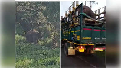 അരിക്കൊമ്പന്റെ കരുത്തിൽ അമ്പരന്ന് ദൗത്യസംഘവും; ഉദ്വേഗഭരിതമായ നിമിഷങ്ങൾ, ലോറിയിലും പരാക്രമം