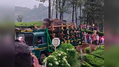 അരിക്കൊമ്പനെ കുമളി സ്വീകരിച്ചത് പൂജകളോടെ; ഉൾവനത്തിൽ തുറന്നുവിട്ടു, ജനവാസ മേഖലയിൽ നിന്ന് 23 കി.മീ അകലെ