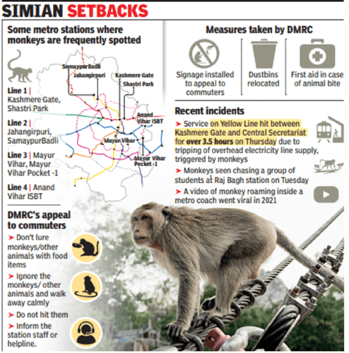 delhi metro monkey
