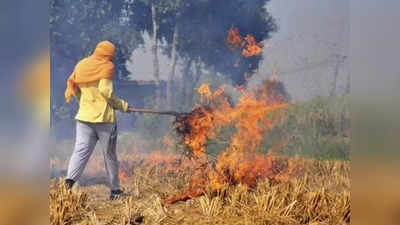 भूल से भी अब खेत में पराली मत जलाना, वरना 15 हजार रुपये का जुर्माना वसूल लेगी सरकार