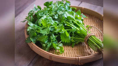 Benefits of Coriander Leaves: যে কোনও পদের গার্নিশিং-এ তো এর জুড়ি মেলা ভার, তবে ধনে পাতার গুণের কথা কি জানা আছে সবার?