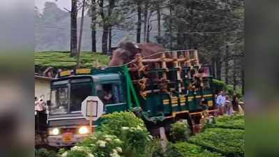 ഇന്ന് പൂർണമായും മയക്കം വിട്ടുണരും; അരിക്കൊമ്പനുള്ളത് തുറന്നുവിട്ട സ്ഥലത്ത് നിന്ന് 3 കി.മീ അകലെ