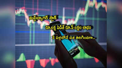 Multibagger: లక్షకు రూ.5 లక్షలు.. 3 ఏళ్లలోనే దశ తిరిగింది.. రూ.10 నుంచి 64కు పెరిగిన షేరు ఇదే!