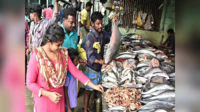 மீன்பிடி தடைக்காலத்தின் எதிரொலி - ஈரோடு மீன் சந்தையில் வஞ்சரம் விலை இவ்வளவா?