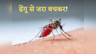 पिछले 50 सालों में तेजी से बढ़े डेंगू केस, भारत के लिए भी खतरा कम नहीं, IISC के रिसर्चर्स ने अपनी स्टडी में क्या बताया