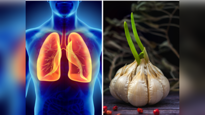 World Asthma Day 2023: फेफड़ों में जमा विषाक्त पदार्थ और बलगम को बाहर निकालेंगी 6 चीजें, अस्थमा मरीजों की बढ़ेगी सांस