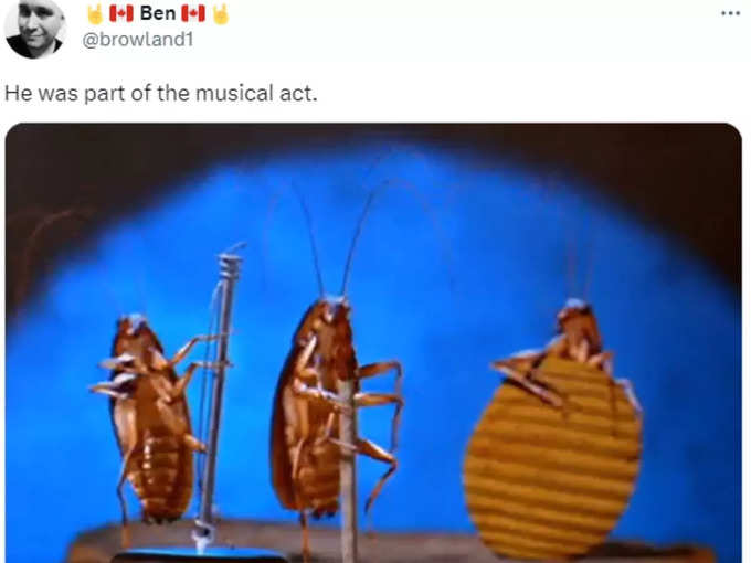 Cockroach In Musical Art